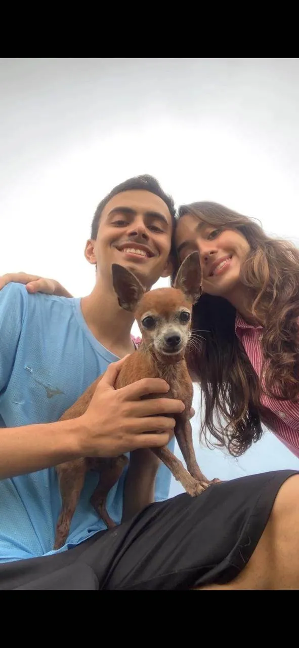 Cachorro ra a Pinscher idade 6 ou mais anos nome BILU