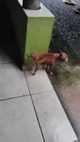 BILU