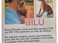 BILU