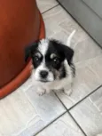 Lua