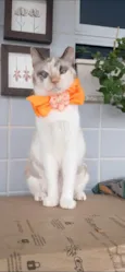 MARIE