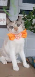 MARIE