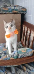 MARIE