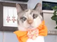 MARIE