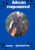 Neguinho