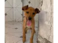 Mel 