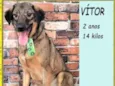 Vítor