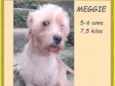 Meggie