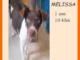 Melissa