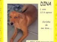 Dina