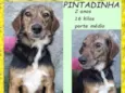 Pintadinha