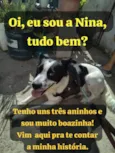 Nina