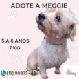 Meggie