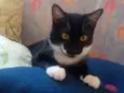 FREDERICO