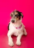 Nina