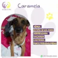 Caramela