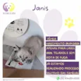 Janis