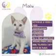 Malu