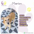 Marlon