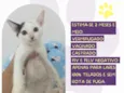 Léo
