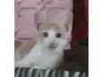 Lindinha e neguinho 