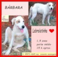 Barbara
