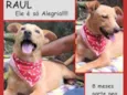 Raul