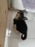  Encontrada na chuva! ???