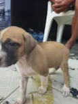 Indefinido
