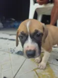 Indefinido