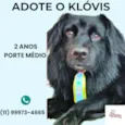 Klóvis 