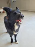 Spike