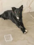 Spike