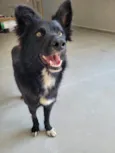 Spike