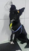 Spike