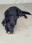 Spike
