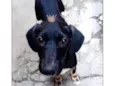 Nutella 2meses mix salsicha 