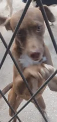 NALA