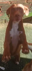 NALA
