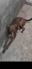 NALA