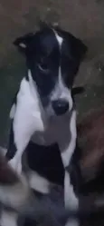 Lua