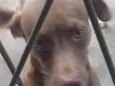 NALA