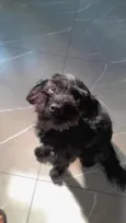 Lua