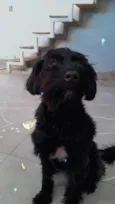 Lua