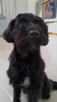 Lua