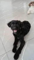 Lua