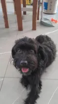 Lua