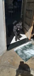 Lua