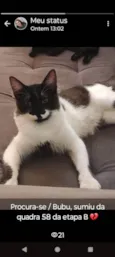 BUBU