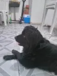 Nick